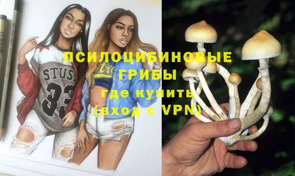 прущая мука Каменка