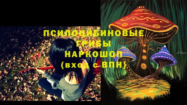 прущая мука Каменка